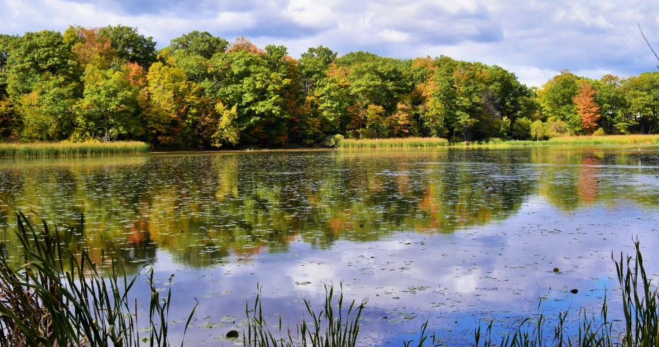 10 Best Beaches in Toronto